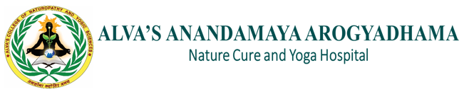 ayurvedic.manakdryfruits.com